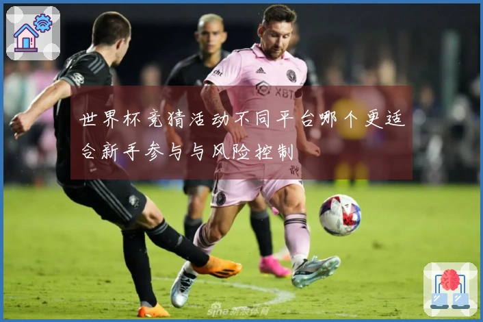 世界杯竞猜活动不同平台哪个更适合新手参与与风险控制