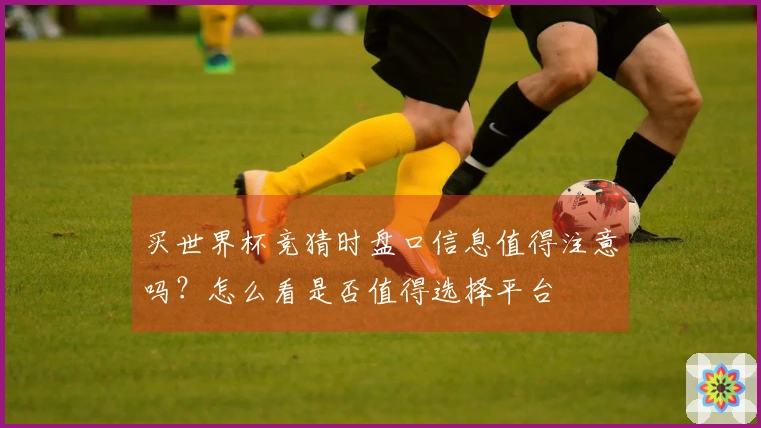 买世界杯竞猜时盘口信息值得注意吗？怎么看是否值得选择平台