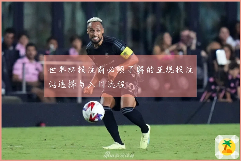 世界杯投注前必须了解的正规投注站选择与入门流程