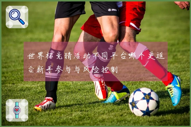 世界杯竞猜活动不同平台哪个更适合新手参与与风险控制